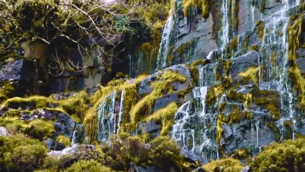 Cascades Water Siert Een Rotswand Bedekt Met Groen — Stockvideo
