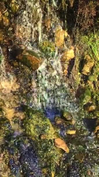 Uma Cascata Água Flui Sobre Rochas Adornadas Com Musgo Verde — Vídeo de Stock