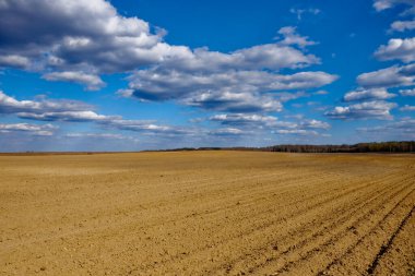 Boş bir tarla ve ufukta geniş bir görünüm.
