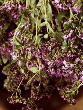 Yeşil çiçeklerle çevrili pembe çiçek demetleri, doğal bolluk ve tazelik manzarasını betimliyor..