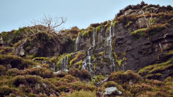 Yeşillikleri Çok Sayıda Küçük Şelalesi Olan Kayalık Bir Uçurum — Stok video