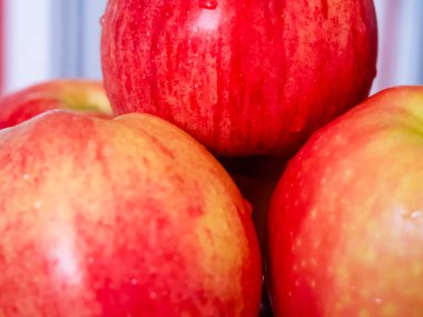 Olgun Elma Hasadı. Saplı lezzetli elmalar, tarım temaları için harika..