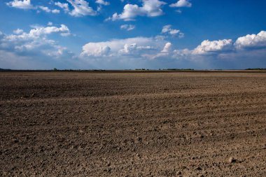 Büyük, boş bir tarım arazisi ve bulutların kahverengi toprağı..