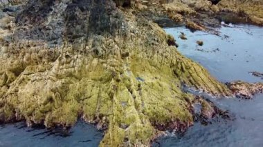 Okyanus sakin ve kayalar pürüzlü. Su koyu mavi bir renktir. Kayalar yosun ve yosunla kaplı..