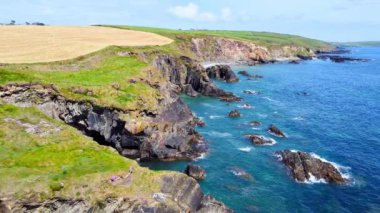 Arka planda çimenli bir yamaç olan kayalık bir kıyı şeridi. Su sakin ve gökyüzü berrak..