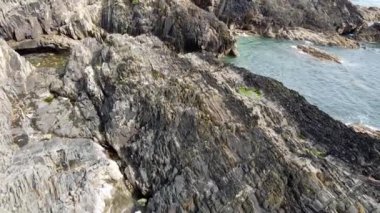 Rocky Shoreline Sahil Bölgesi 'nde Açık Su ve Deniz Yaşamı ile Düşük Gelgit.