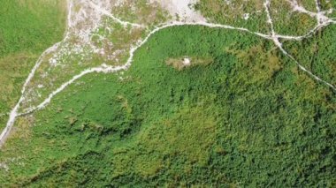 Sabahın erken saatlerinde yürüyüş parkurlarıyla yemyeşil dağ manzarası. Hava perspektifi, kıvrımlı patikaları olan bir dağ yamacında canlı yeşil bitki örtüsü sergiliyor..