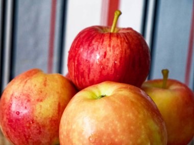 Olgun meyve bahçesi ödülü. Su damlacıklarıyla sulu kırmızı elmalar toplanmaya hazır. Tarım içeriği ve yemek tarifleri için kullanılıyor.