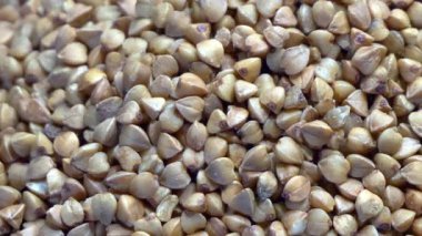 Doğal renklerini ve aromalarını vurgulayan karabuğday filizlerinin yakın plan çekimi..