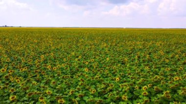 Alan, doğanın gücünün ve nefes kesen manzaralar yaratabilme yeteneğinin bir kanıtı olarak sonsuza dek uzanıyor gibi görünüyor..