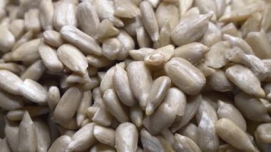 Ayçiçeği tohumlarından oluşan bir koleksiyon. Üniforma boyutlarını ve hafifçe yassılaşmış şekillerini sergiliyorlar..