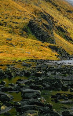 Yan tarafında kayalık bir çıkıntı olan çimenli bir tepe manzarası. Çimenler canlı, kayalar karanlık ve yıpranmış. Tepenin aşağısında küçük bir dere akıyor, büyük, pürüzsüz kayalarla..