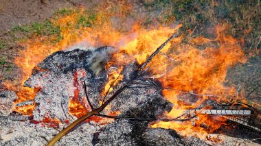 Ateş parlak bir şekilde yanıyor, yakın zamanda yandığını gösteriyor..