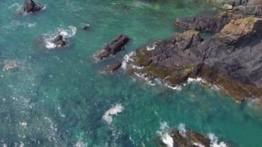Kıyı şeridi yeşil bitki örtüsü ve gri kayaların karışımı ve canlı bir kontrast sunuyor. Doğal bir manzara. Video doğanın gücünü gösteriyor, zaman içinde manzarayı şekillendiriyor..