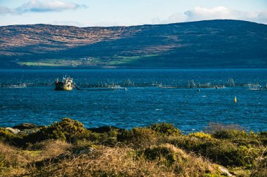 Teknesi ve birden fazla balık çiftliği olan bir su kütlesi arka planda büyük bir tepe..
