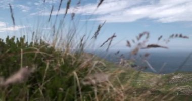 Sahil şeridi boyunca kayan tepeler ve uçurumlarla geniş bir kıyı manzarası..