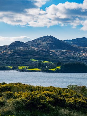Önünde bir su kütlesi olan bir dağ manzarası..