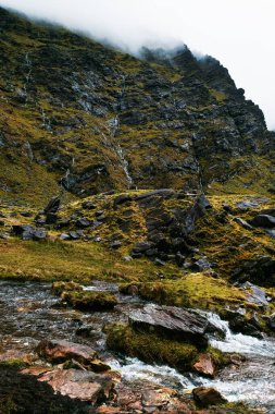Engebeli bir yamaç, taşların üzerinden yumuşak bir dere akarken, çimen ve kaya parçalarıyla dik bir şekilde yükselir. Sis dağın tepesini sarar ve sakin bir atmosfer yaratır..