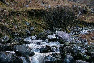 A fast-flowing stream rushes over smooth, dark rocks. A barren, leafless tree stands near the water's edge. Rolling green hills form the background. clipart