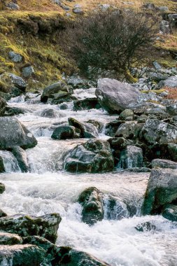 Temiz su, koyu kayalardan oluşan bir yatağın üzerinden hızla akar. Yapraksız bir ağaç derenin yanındaki kayaların arasında oturur. Kara yamaçları yavaşça uzak tepelere doğru yükselir..