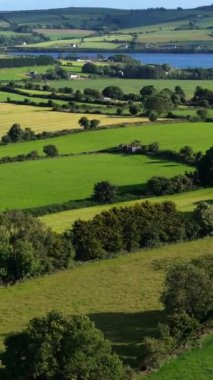 Parlak yaz günlerinde İrlanda 'nın kırsal kesimindeki güzel yeşil manzaraları ve sakin suları keşfedin..