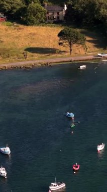 Huzurlu bir limana demirlemiş teknelerle kıyı şeridinin manzarası ve güneşli bir ortamda yakınlardaki büyüleyici evler..