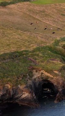 Video, ineklerle dolu otlak bir tepeyi gösteriyor. Suyun kenarında sayısız deniz mağarası olan karanlık ve kayalık bir kıyı şeridine komşu..