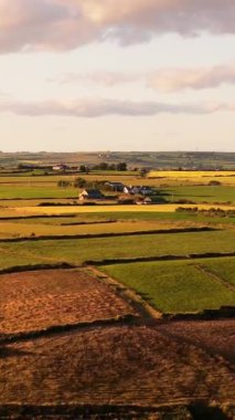 Gün batımında İrlanda 'nın çarpıcı kırsalını altın tarlaları ve İrlanda' nın sakin manzaralarıyla keşfedin..