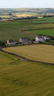 Yuvarlanan tarlalar ufka kadar uzanıyor. Birkaç ev ve bir çiftlik görülebilir. Tarlalar yeşilin ve altının çeşitli renkleridir..