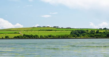 Yeşillik yeşil tepeler arka planda yavaşça yuvarlanırken, sakin sular Inchydoney Adası 'nın canlı manzarasını yansıtırken, İrlanda' nın doğal güzelliğini vurguluyor..