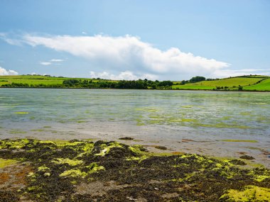 Sakin kıyı manzarası, gökyüzünü yansıtan geniş gelgit düzlükleri, uzaktaki resimli tarım arazisi. Seyahat, doğa ve çevre konuları için sakin ve huzurlu bir sahne..