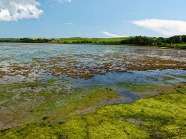 Dalgalar çekildiğinde sakin bir haliçin nefes kesici panoramik görüntüsü. Yeşil tarlalar ve büyüleyici bir çiftlik evi bu huzurlu sahil manzarasını tamamlıyor. Takvimler ve seyahat yayınları için ideal.