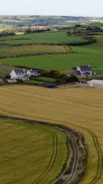 Açık alanlar, ağırlıklı olarak yeşil ve altın kahverengidir, ev kümeleri ve çiftlik yapıları vardır. Mavi gökyüzü görünür bulutlarla.