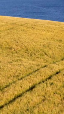 Sahil Tarım. Tarımın kalbinin kıyılarla buluşmasını gösteren çarpıcı bir manzara videosu..