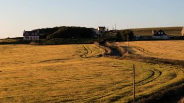 Kırsal İrlanda 'da güneş batarken altın tarlalar araziye yayılıyor. Doğası gereği güzellik ve sükunetle çevrili büyüleyici evler tepenin yamacında duruyor.