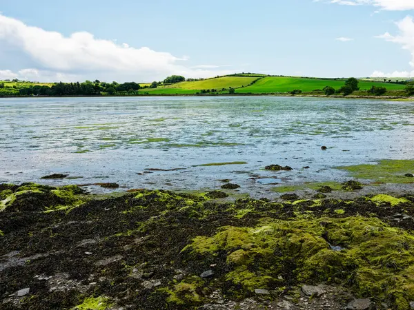 Inchydoney Adası 'nın manzarası yemyeşil bir manzara ve parlak bir gökyüzü altında sakin sular sergiliyor..