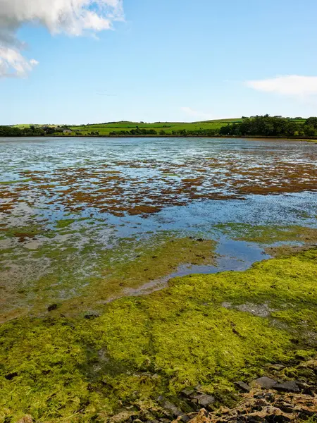 İrlanda 'da sakin suların, yemyeşil tarlaların ve büyüleyici bir çiftlik evinin olduğu pitoresk bir sahil manzarası. Seyahat için ideal, doğa. İrlanda kırsalının güzelliğini yakalar.