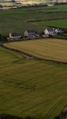 Kırsal kesim, gelişmiş bir perspektiften gösterilir. Tarlalar ekildi, evler ve ahırlar var..