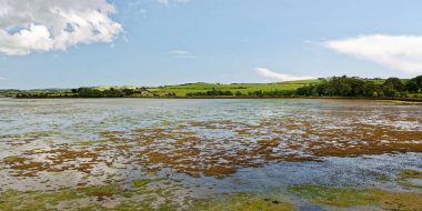 Alçalma dalgası, sakin bir körfezdeki deniz yosunlarından oluşan canlı bir duvar halısını ortaya çıkarır. Arka plan İrlanda kırsalının görkemli cazibesini sergiliyor. Huzurlu, huzurlu ve güzel doğal bir manzara..