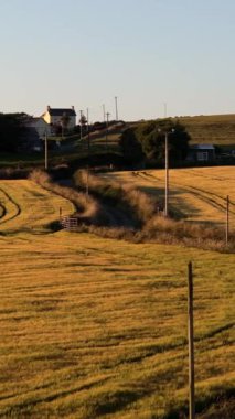 Kırsal İrlanda 'daki altın tarlalarda çarpıcı bir gün batımı..