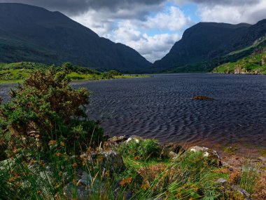 İrlanda 'da yemyeşil bir göl, engebeli tepeler ve yukarıda dinamik bulutlar vardır. Sakin sular nazikçe dalgalanır, bu manzarayı keşfetmeye davet eder..