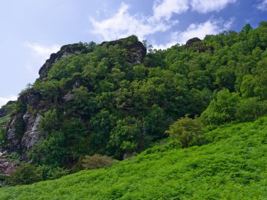 Strickeen Dağı 'nın alt kısmını görebilirsiniz. Ağaçlar, çalılar ve eğreltiotlarıyla kaplı. Dağın tepesi kayalık, İrlanda 'da bulutlu bir gökyüzünün altında yeşil bitkiler var..