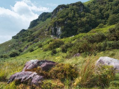 Strickeen Dağı 'nın muhtemelen bir parçası olan eğimli bir dağ yamacında yeşil bitki örtüsüyle kaplı engebeli bir yüz görülüyor. Büyük kayalar çimenlerin, eğrelti otlarının ve çalıların arasına dağılmış..