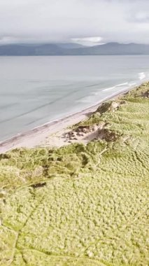 İrlanda 'da sakin bir kumsalın güzelliğini yaşayın. Yuvarlanan dalgaların, bulutlu bir gökyüzünün altındaki yeşil kumullar tarafından çerçevelenmiş altın kumla buluştuğu yerde. Sakin ve huzurlu, bu ortam rahatlamak için mükemmel..