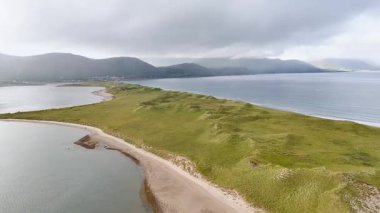 Bereketli yeşil tepeler ve sakin sular İrlanda 'da çarpıcı bir kıyı manzarası yaratır. Dramatik manzara, bulutlu gökyüzü altındaki doğanın güzelliğini gözler önüne seriyor. Keşif ve fotoğrafçılık için mükemmel..