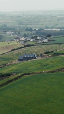 Rolling Green Hills, Coastal Views, Houses ve Cattle Orazing ile İrlanda Manzarası Sahil şeridi yakınında.