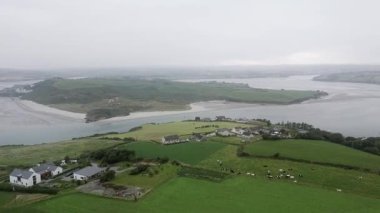 Sabahın erken saatlerinde İrlanda 'nın Cork ilçesi sahili manzarası. Modern evlerin yakınında otlayan inekleri olan tarım arazileri görülebilir..