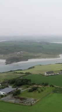 İrlanda 'nın Cork ilçesinde sabahın erken saatlerinde, kıyı manzaralı ve konut yakınında otlayan inekler.