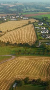 Bu, Clonakilty, İrlanda 'nın gökyüzünden çekilmiş bir videosu. Evleri, tarlaları ve dolambaçlı yolları görebilirsiniz. Güzel bir sabah..