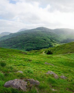 Çim ve kayalarla kaplı yuvarlanan yeşil tepeler bulutlu bir gökyüzünün altındaki orman dağlarına çıkar. Dunloe Geçidi 'nin başındaki arazide küçük bir yol esiyor..